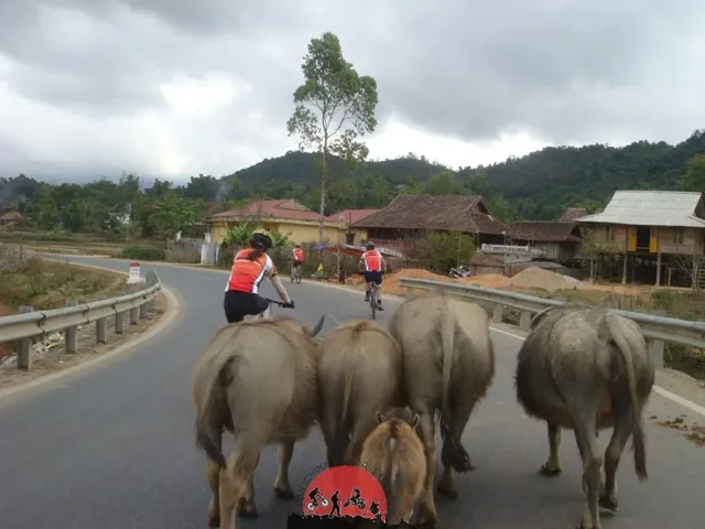 Phnom Penh Biking To Kampong Cham – Siem Reap – 3 days 3