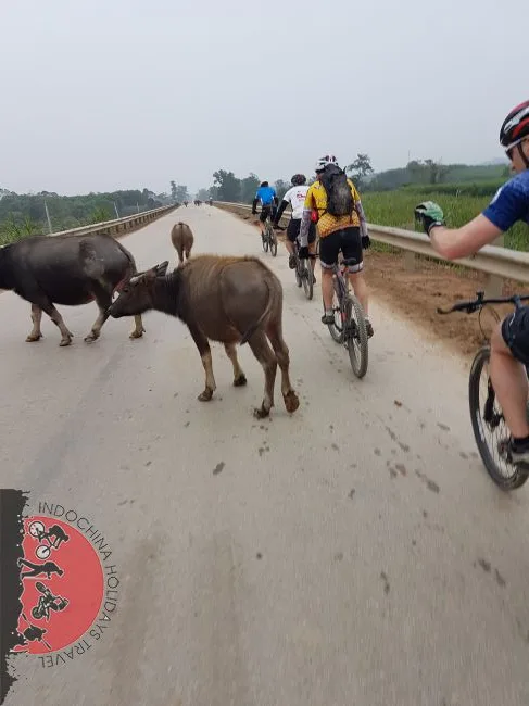 Siem Reap Cycling To Phnom Penh – 3 Days 4