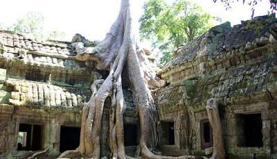 Ta Prohm